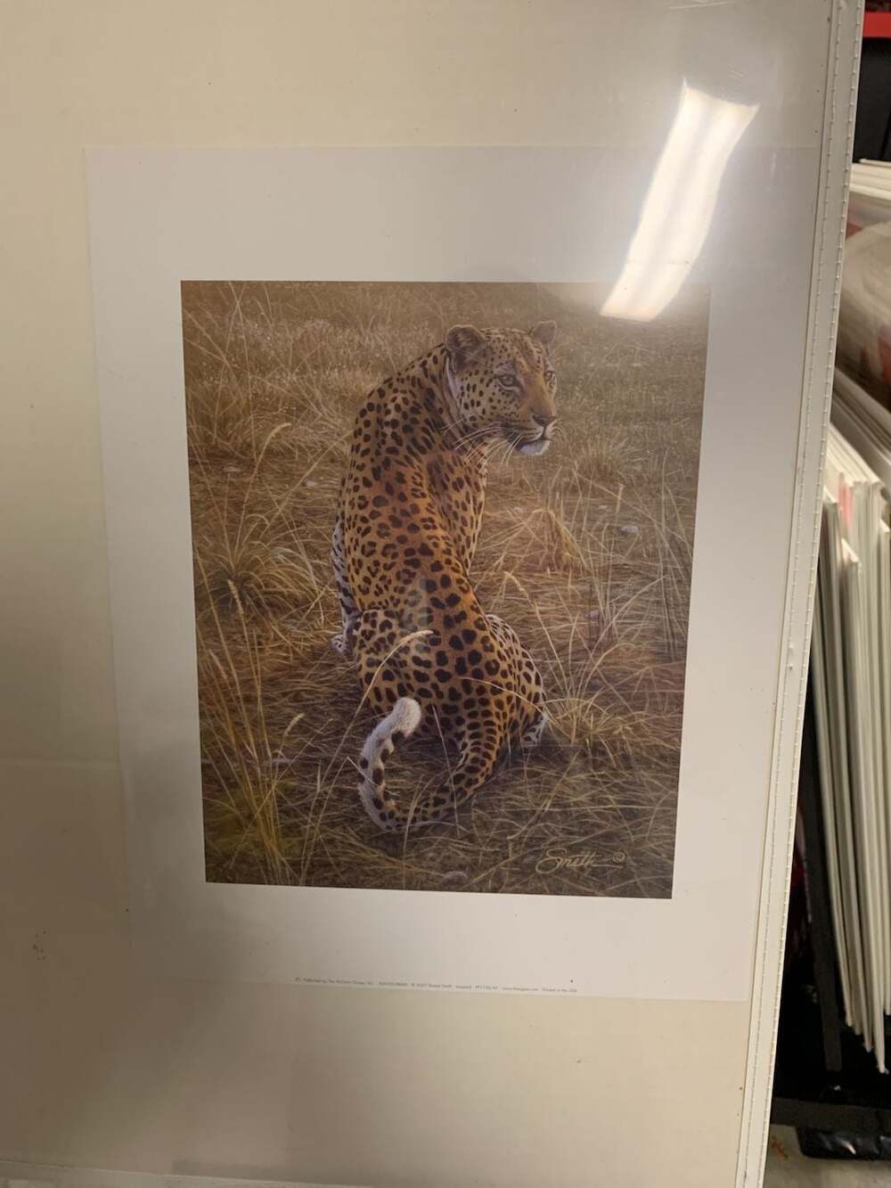 Daniel Smith Leopard Framed Art Print